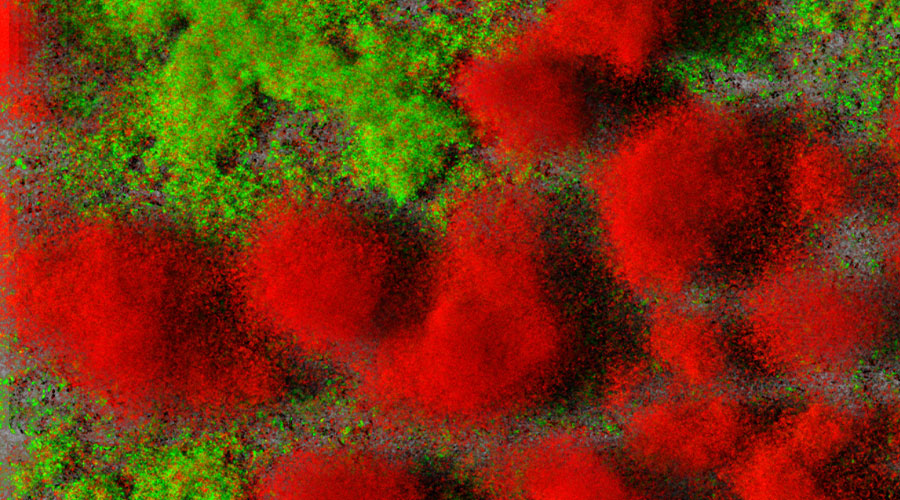 Projekt C1 | Abbildung Biofilm 3