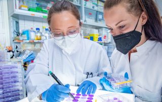 Auf dem Foto sind die beiden Wissenschaftlerinnen Dr. Amelie Wachs und Talia Schneider in einem Labor des Instituts für Virologie zu sehen. Sie schauen sich Zellkulturplatten an, die mit Coronaviren infiziert wurden.