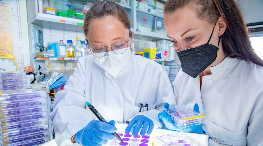 Auf dem Foto sind die beiden Wissenschaftlerinnen Dr. Amelie Wachs und Talia Schneider in einem Labor des Instituts für Virologie zu sehen. Sie schauen sich Zellkulturplatten an, die mit Coronaviren infiziert wurden.