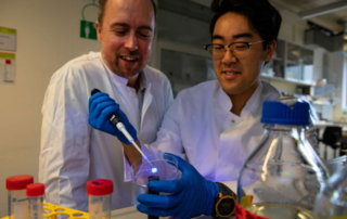 Samuel Sung (rechts) hält im Labor von Prof. Dr. Nico Lachmann (links) eine Schale mit Gel in der Hand. Er zeigt, wie er Fresszellen hinzufügt, die bei der Wundheilung helfen sollen.